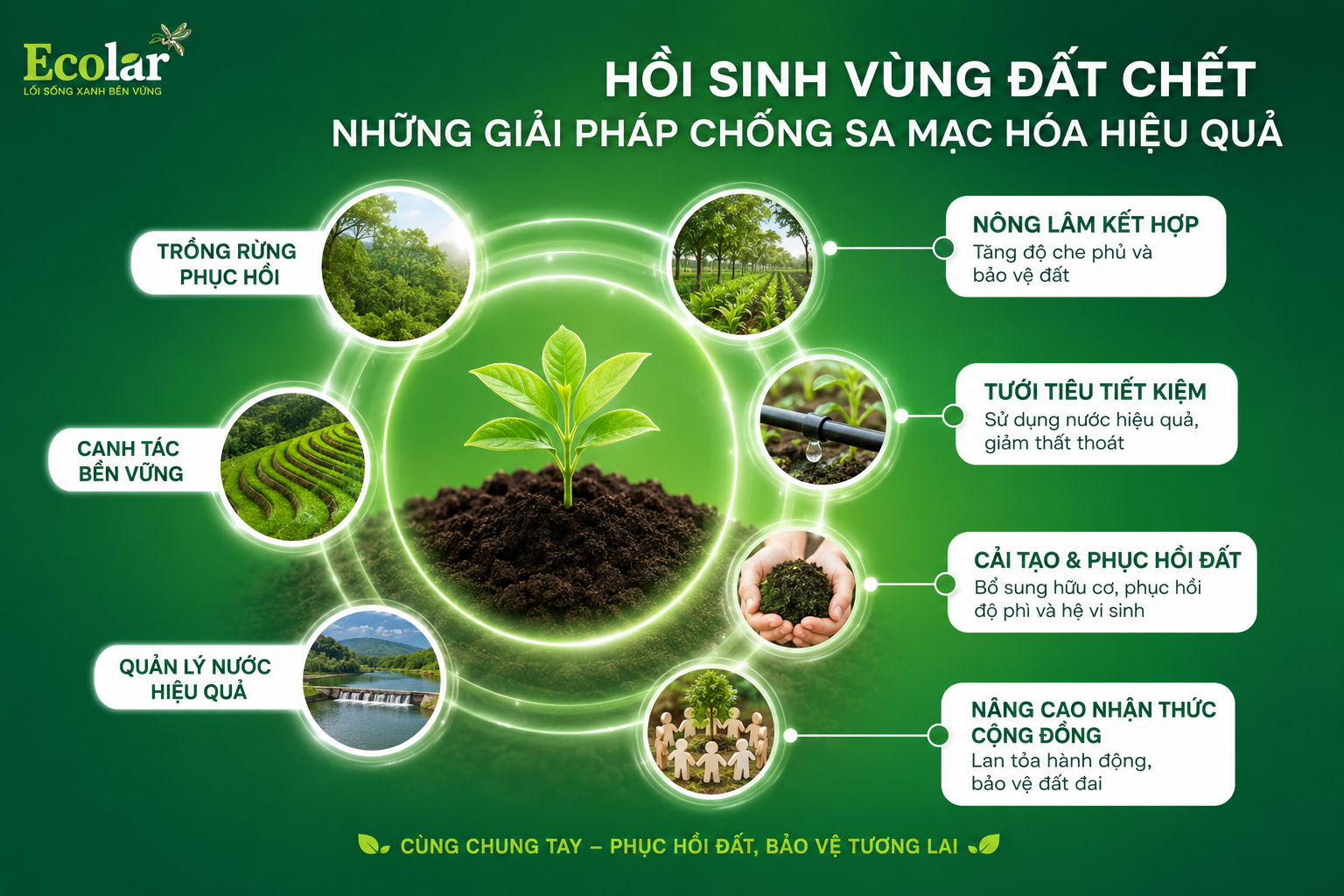 Phần 5: Hồi Sinh Vùng Đất Chết - Những Giải Pháp Chống Sa Mạc Hóa Hiệu Quả