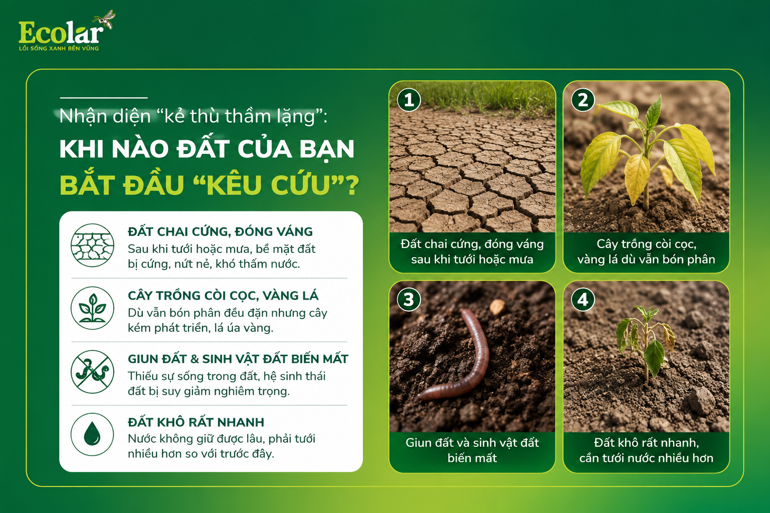 Nhận Diện 'Kẻ Thù Thầm Lặng': Khi Nào Đất Của Bạn Bắt Đầu 'Kêu Cứu'?