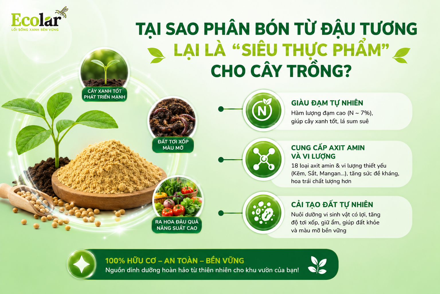 Tại Sao Phân Bón Từ Đậu Tương Lại Là 'Siêu Thực Phẩm' Cho Cây Trồng?