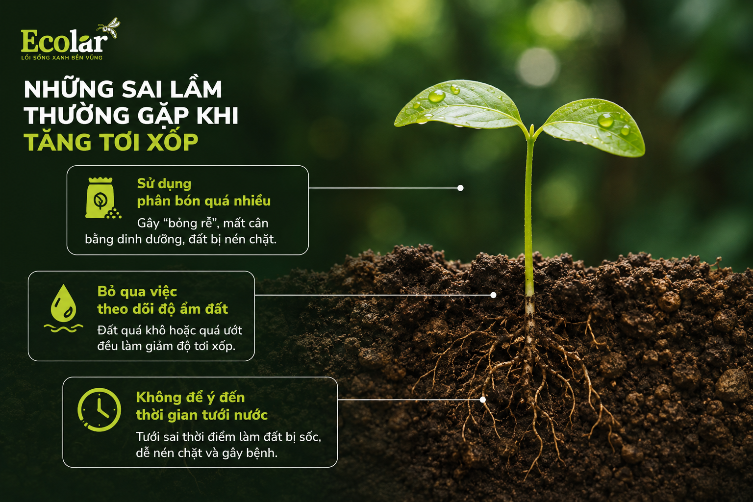 Những Sai Lầm Thường Gặp Khi Tăng Tơi Xốp