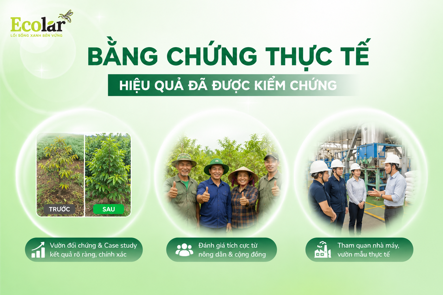 Tiêu chí 3: Bằng Chứng Thực Tế - Hiệu Quả Đã Được Kiểm Chứng