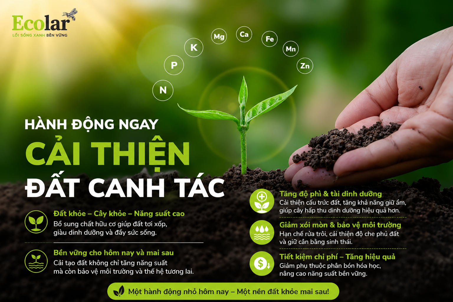 Kết Luận: Hành Động Ngay Để Cải Thiện Đất Canh Tác