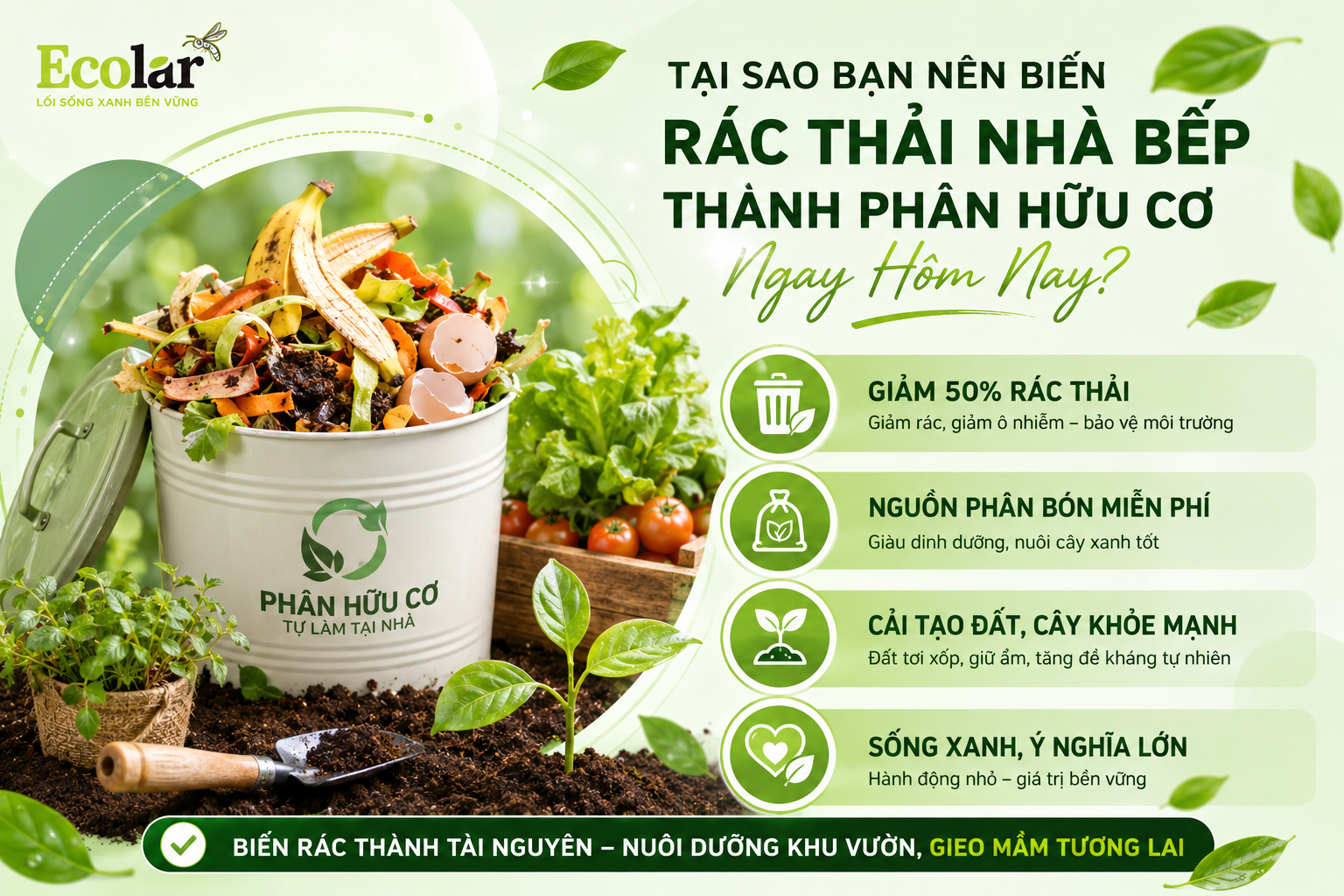 Tại Sao Bạn Nên Biến Rác Thải Nhà Bếp Thành Phân Hữu Cơ Ngay Hôm Nay?