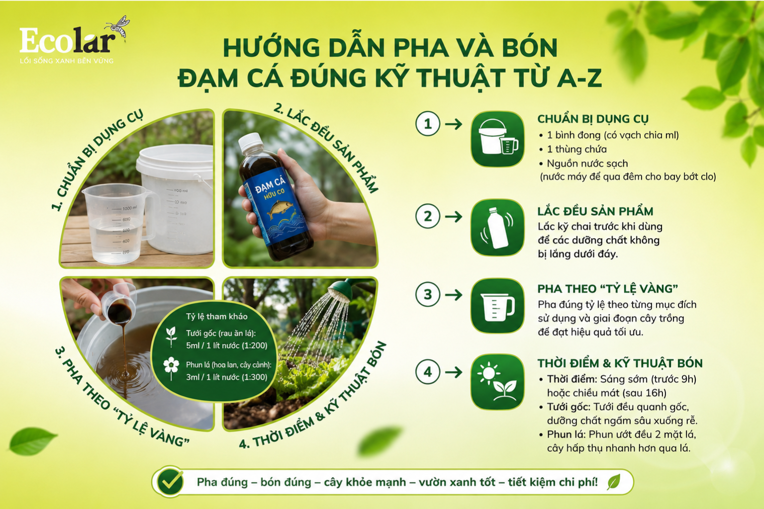 Hướng Dẫn Pha Và Bón Đạm Cá Đúng Kỹ Thuật Từ A-Z