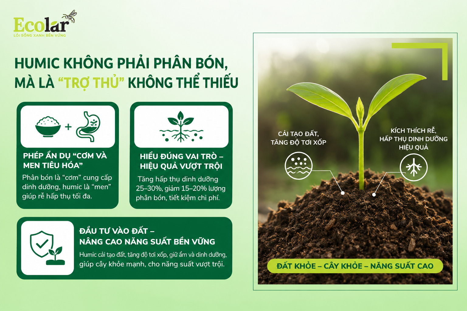 Kết Luận: Humic Không Phải Phân Bón, Mà Là 