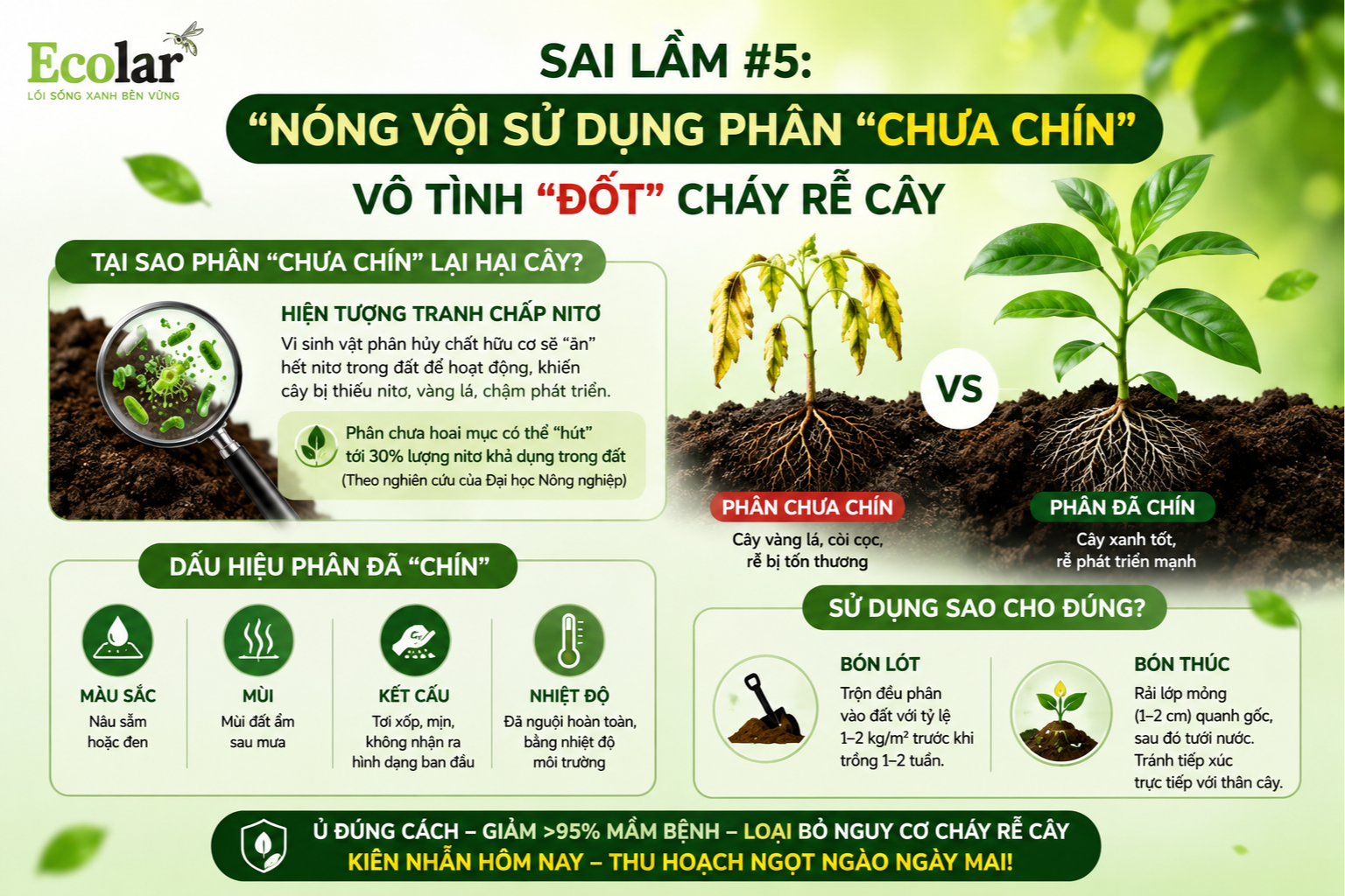 Sai Lầm #5: Nóng Vội Sử Dụng Phân 'Chưa Chín' - Vô Tình 'Đốt' Cháy Rễ Cây