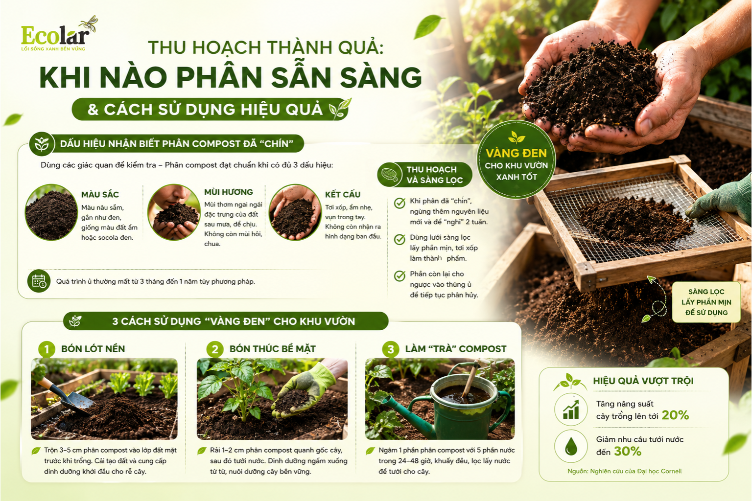 Thu Hoạch Thành Quả: Khi Nào Phân Sẵn Sàng & Cách Sử Dụng Hiệu Quả