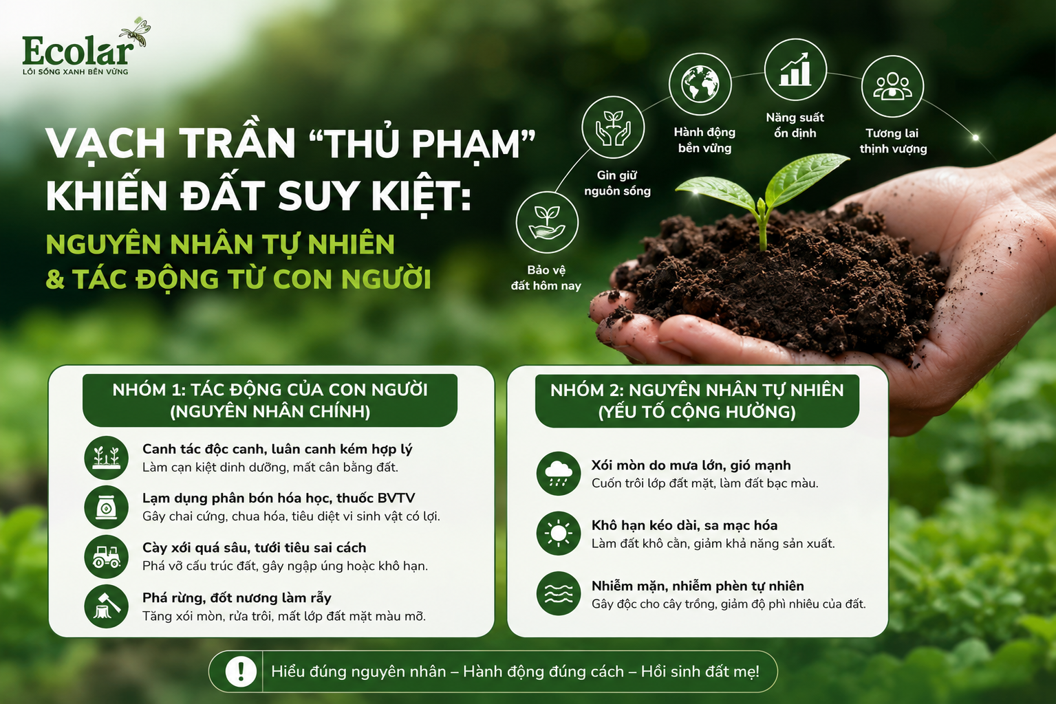Vạch Trần 'Thủ Phạm' Khiến Đất Suy Kiệt: Nguyên Nhân Tự Nhiên & Tác Động Từ Con Người