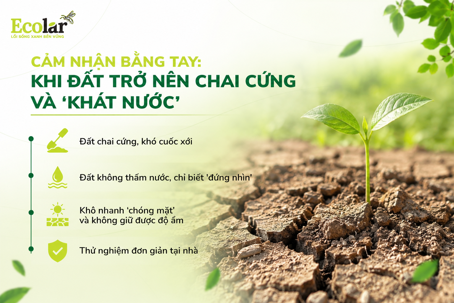 Cảm Nhận Bằng Tay: Khi Đất Trở Nên Chai Cứng và 'Khát Nước'