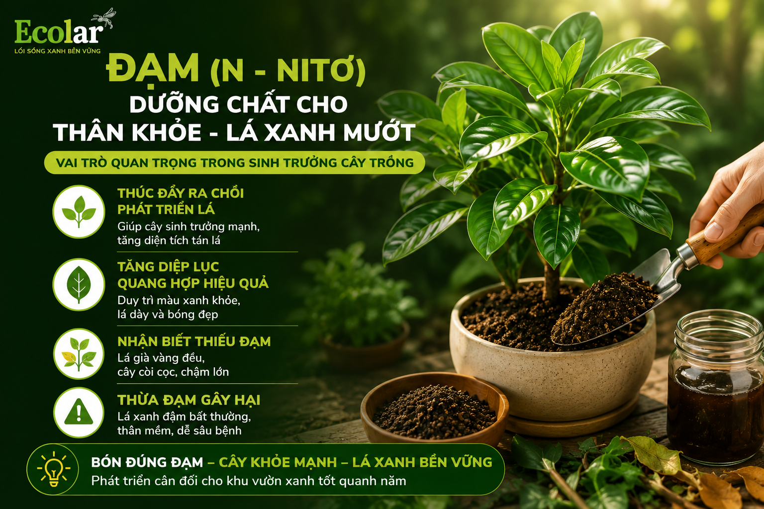 Đạm (N - Nitơ): Dưỡng Chất Cho Sự Phát Triển Thân Và Lá Xanh Mướt