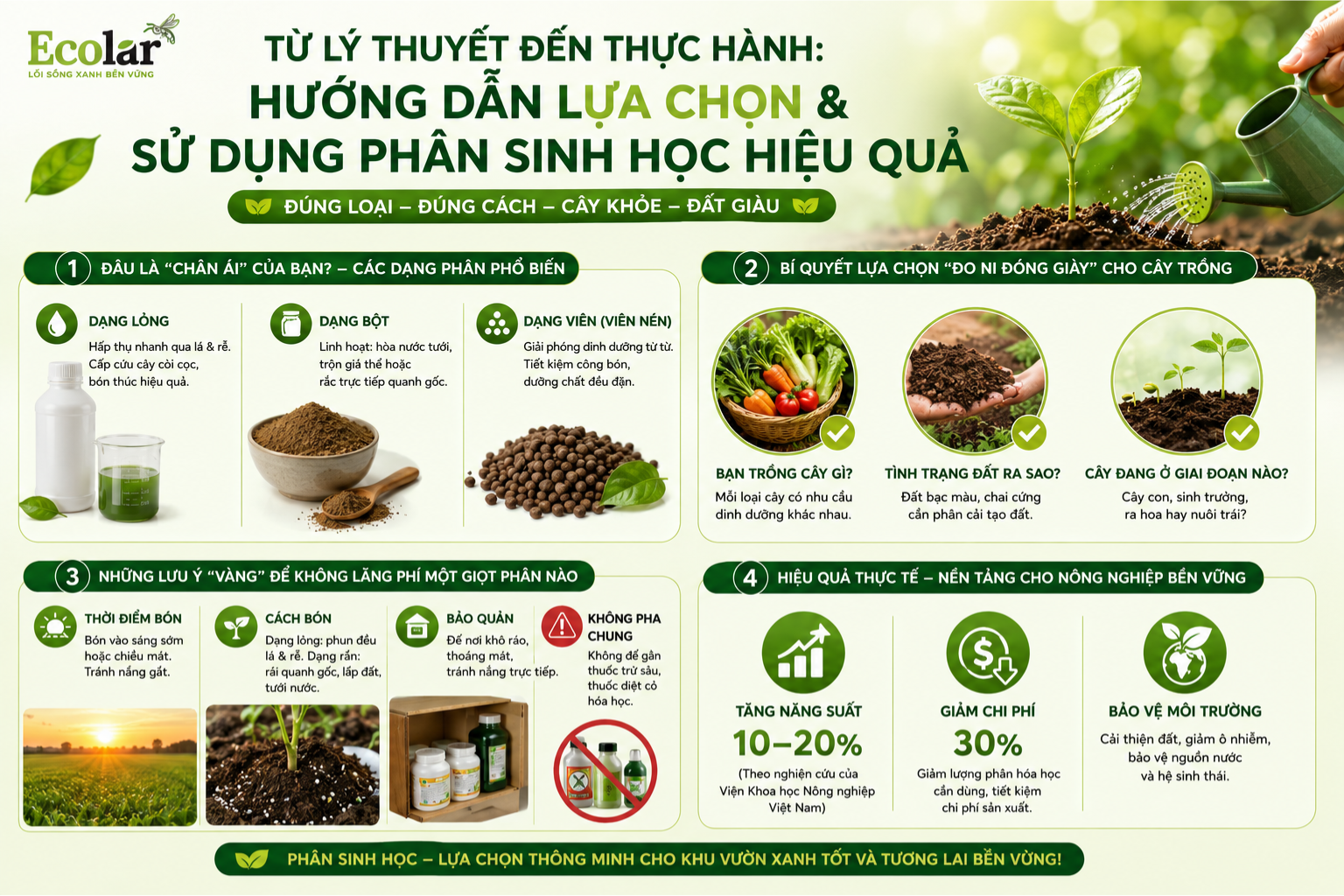 Từ Lý Thuyết Đến Thực Hành: Hướng Dẫn Lựa Chọn và Sử Dụng Phân Sinh Học Hiệu Quả