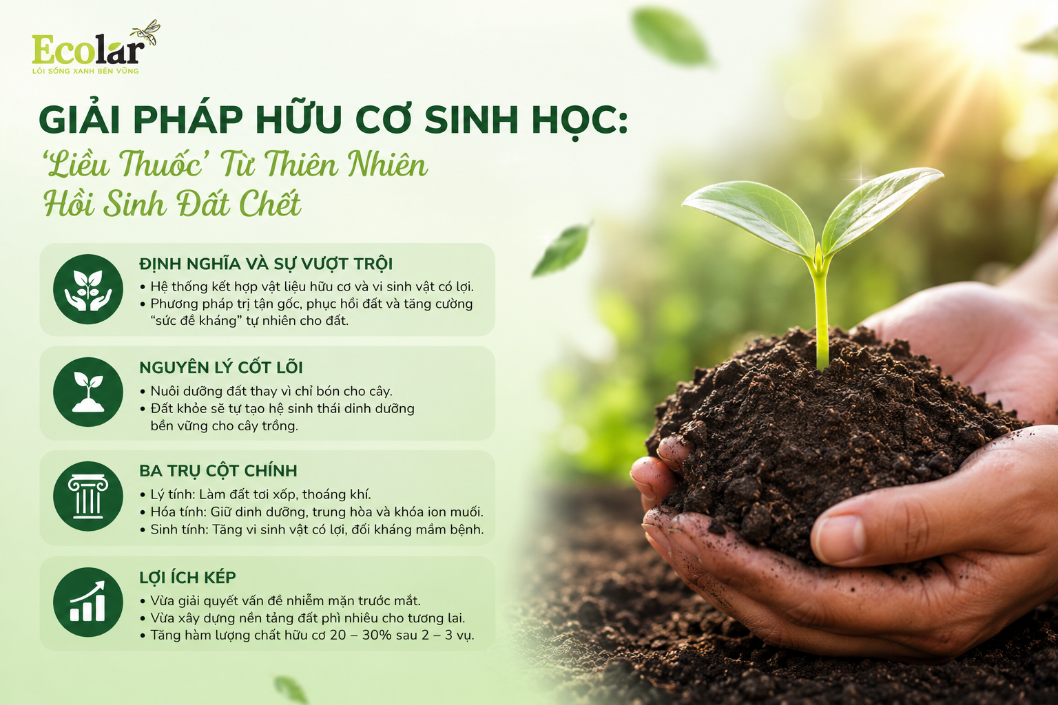 Giải Pháp Hữu Cơ Sinh Học: 'Liều Thuốc' Từ Thiên Nhiên Hồi Sinh Đất Chết