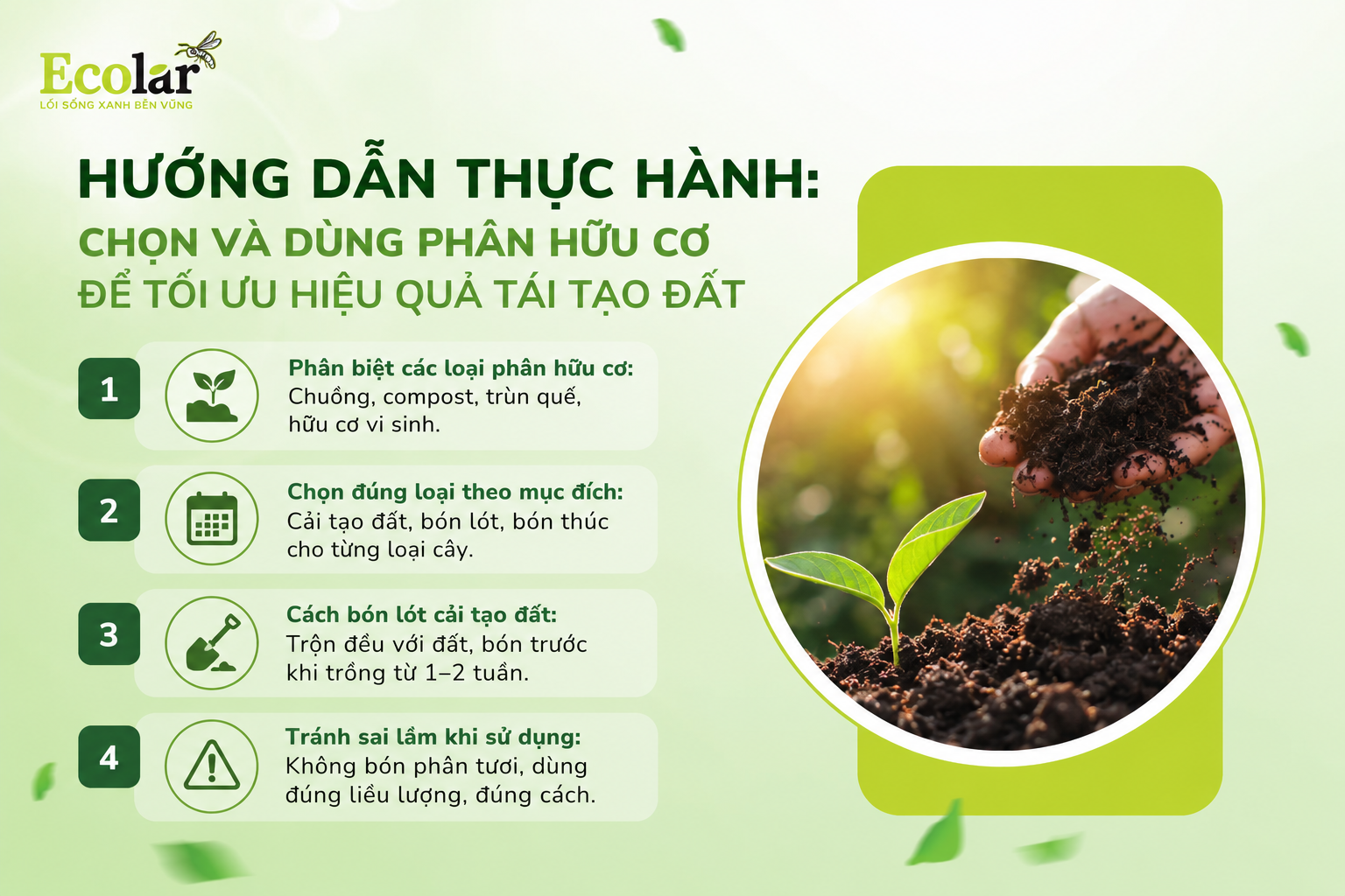 Hướng Dẫn Thực Hành: Chọn và Dùng Phân Hữu Cơ Để Tối Ưu Hiệu Quả Tái Tạo Đất
