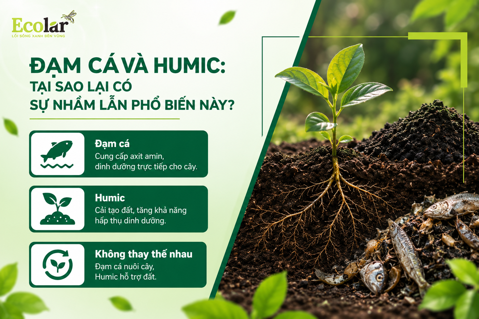 Đạm Cá và Humic: Tại Sao Lại Có Sự Nhầm Lẫn Phổ Biến Này?