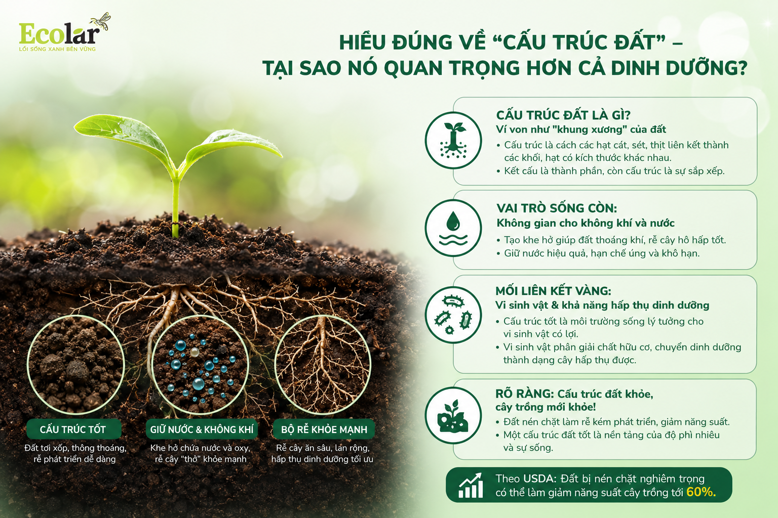 Hiểu Đúng Về 'Cấu Trúc Đất' - Tại Sao Nó Quan Trọng Hơn Cả Dinh Dưỡng?