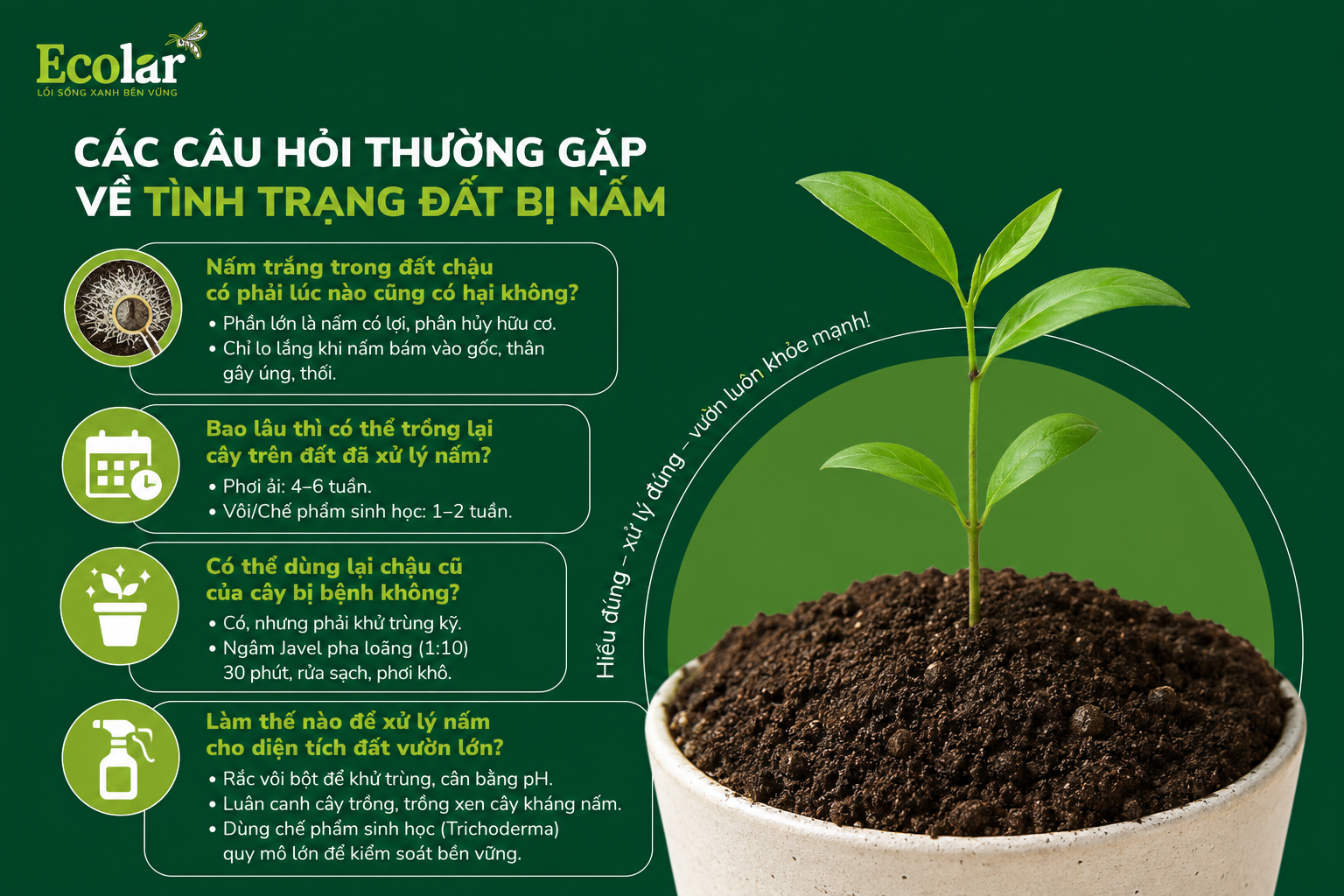 Các Câu Hỏi Thường Gặp Về Tình Trạng Đất Bị Nấm