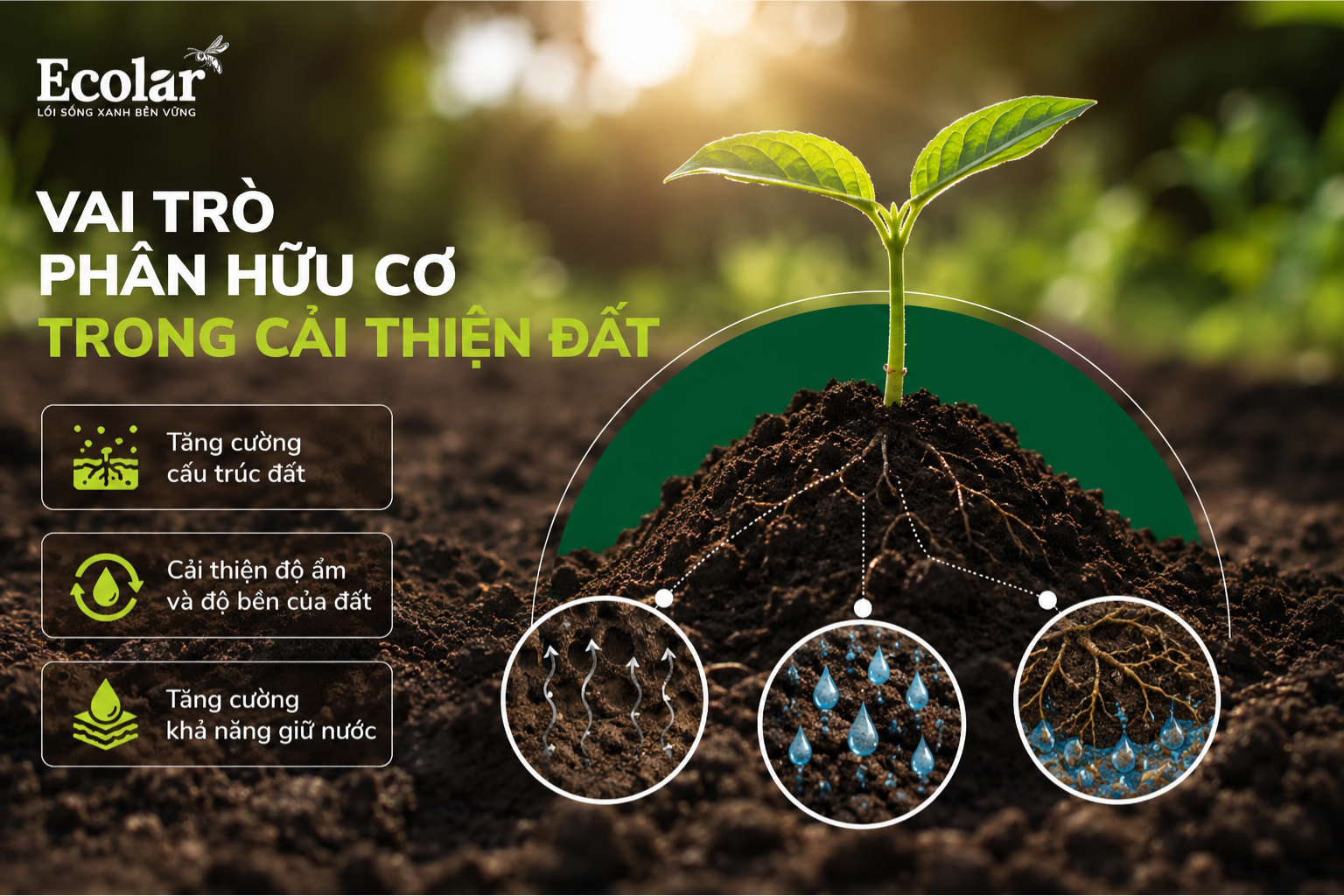 Vai Trò Phân Hữu Cơ Trong Cải Thiện Đất