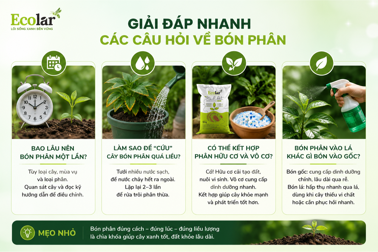 Giải Đáp Nhanh Các Câu Hỏi Về Bón Phân