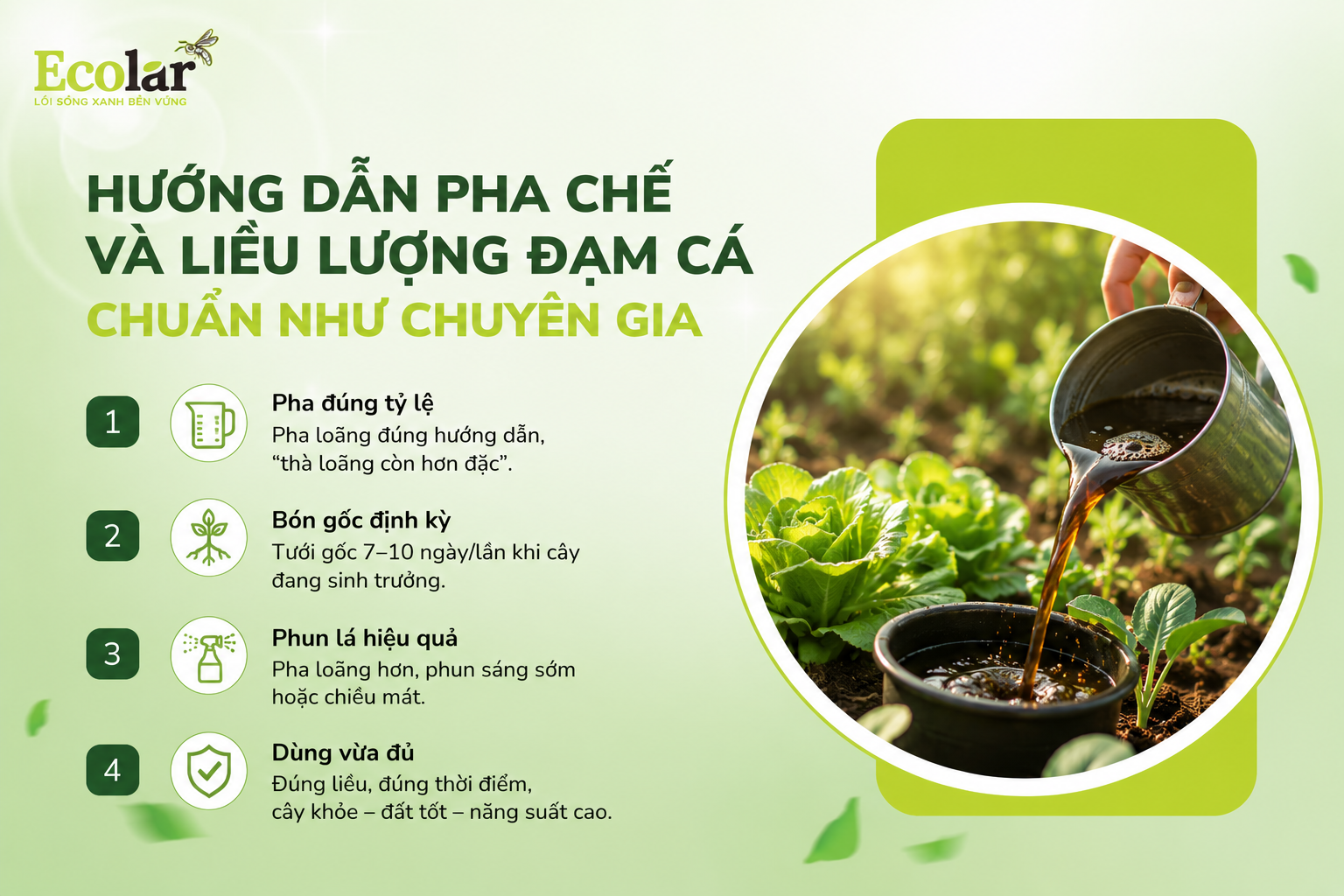 Hướng Dẫn Pha Chế Và Liều Lượng Đạm Cá Chuẩn Như Chuyên Gia