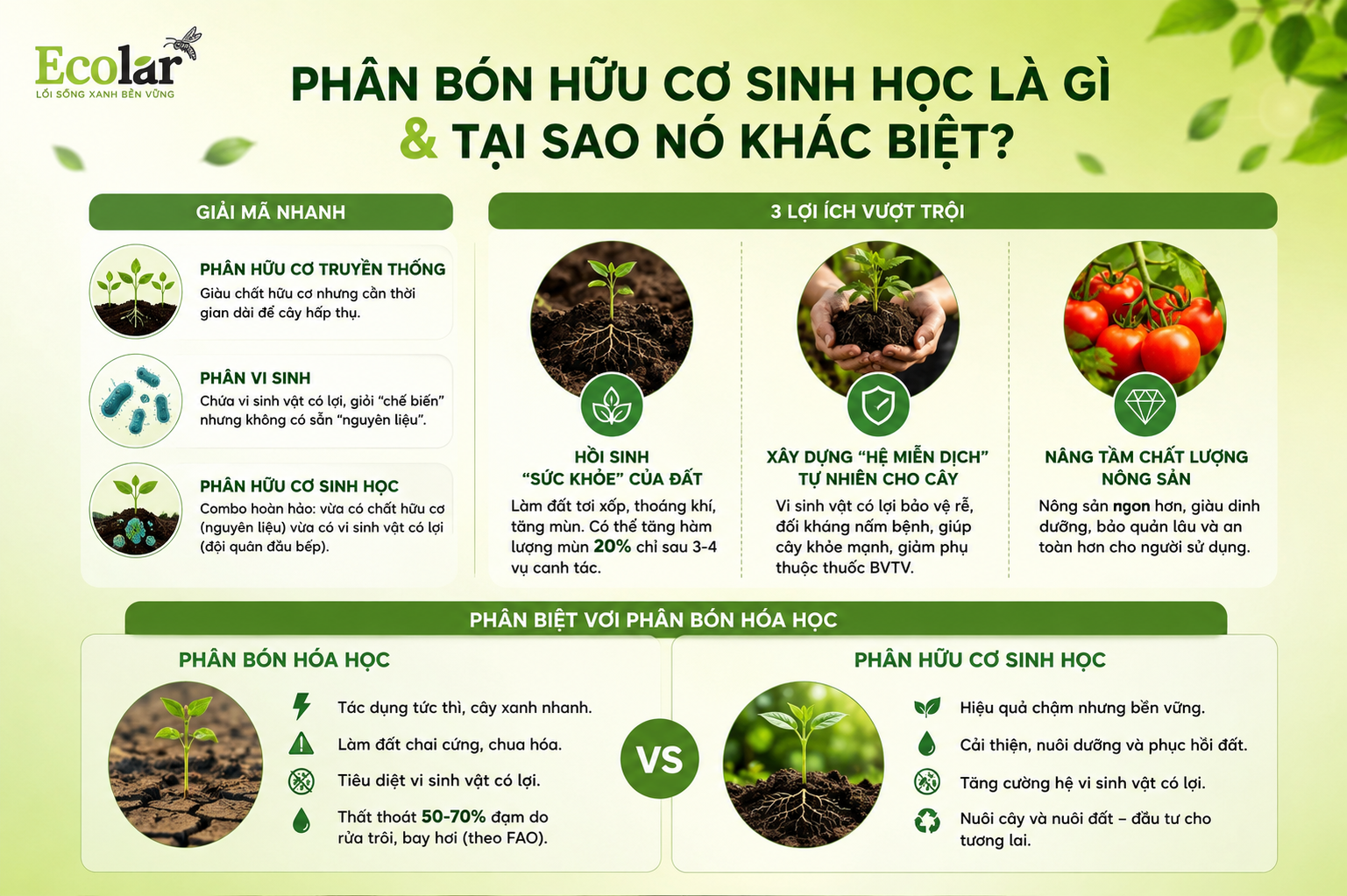 Phân Bón Hữu Cơ Sinh Học Là Gì & Tại Sao Nó Khác Biệt?