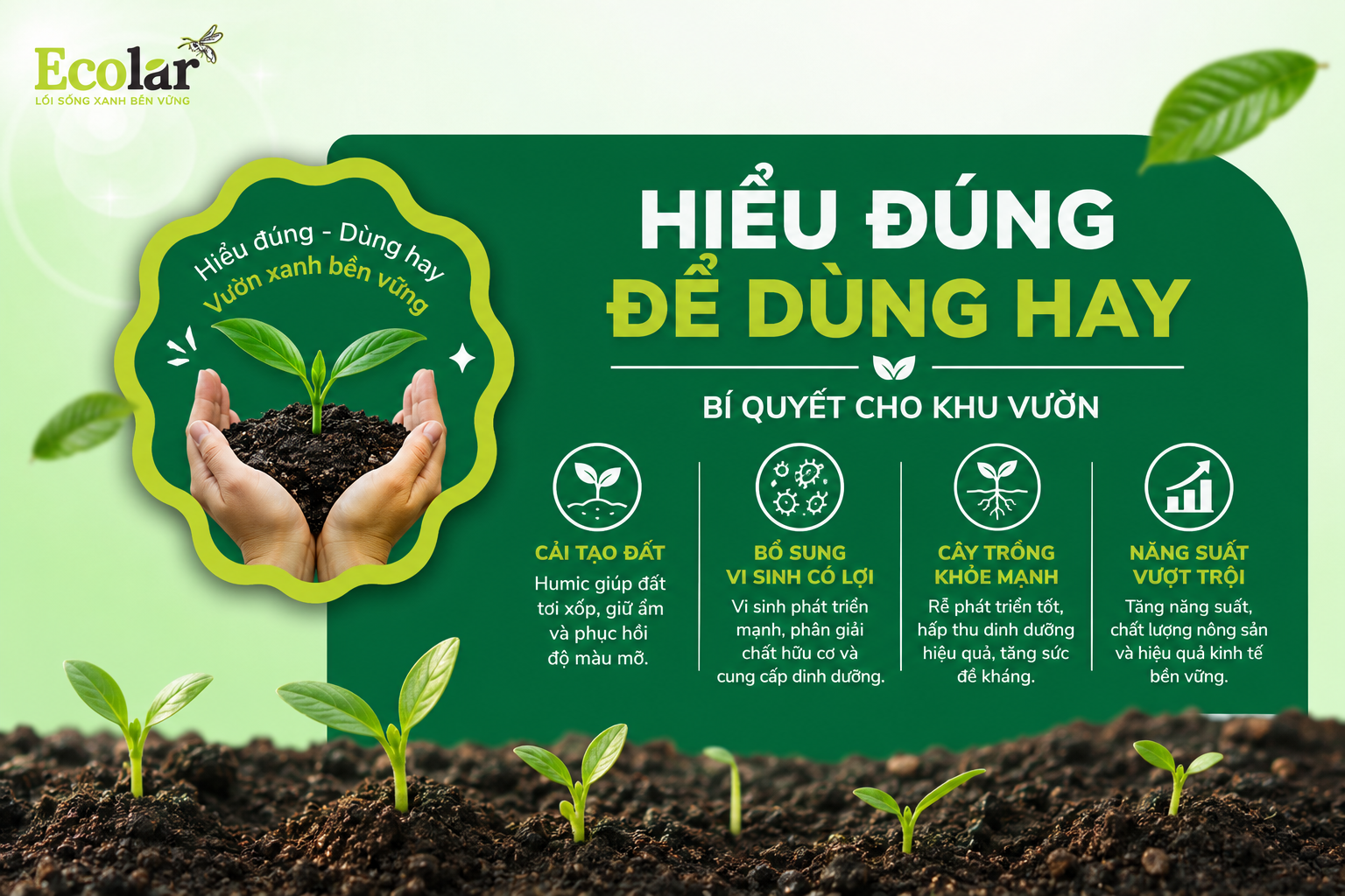 Kết luận: Hiểu đúng để dùng hay