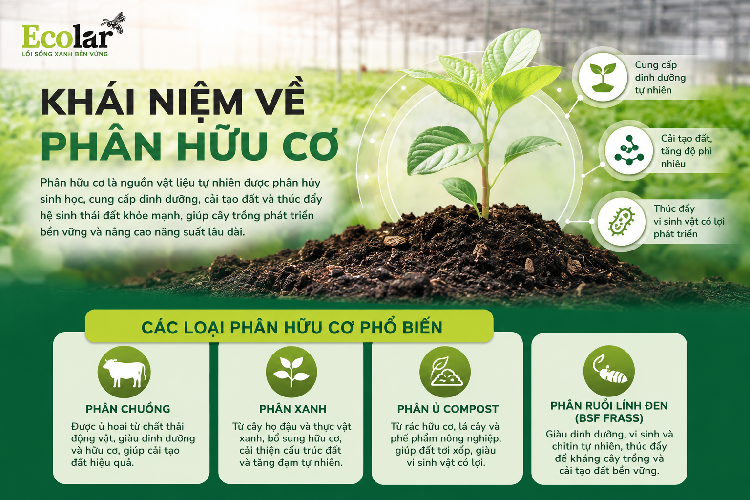 Khái Niệm Về Phân Hữu Cơ