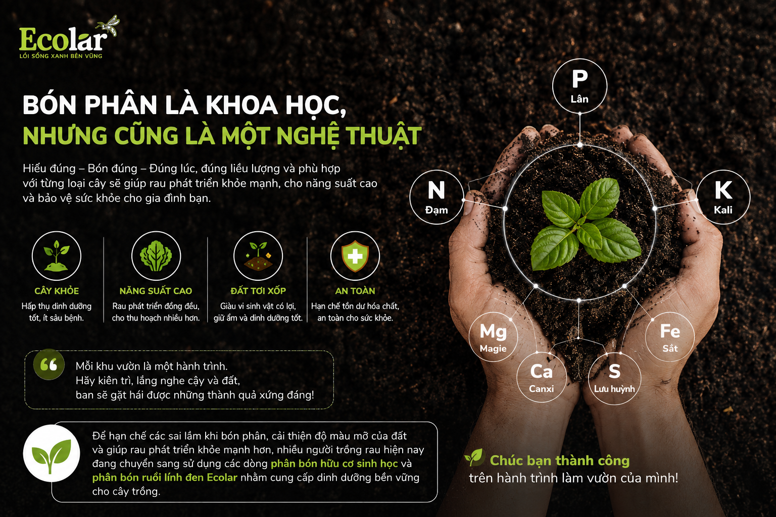 Kết Luận: Bón Phân Là Khoa Học, Nhưng Cũng Là Một Nghệ Thuật