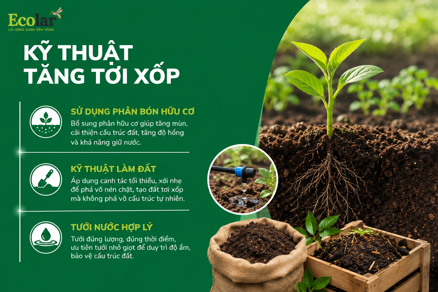 Kỹ Thuật Tăng Tơi Xốp