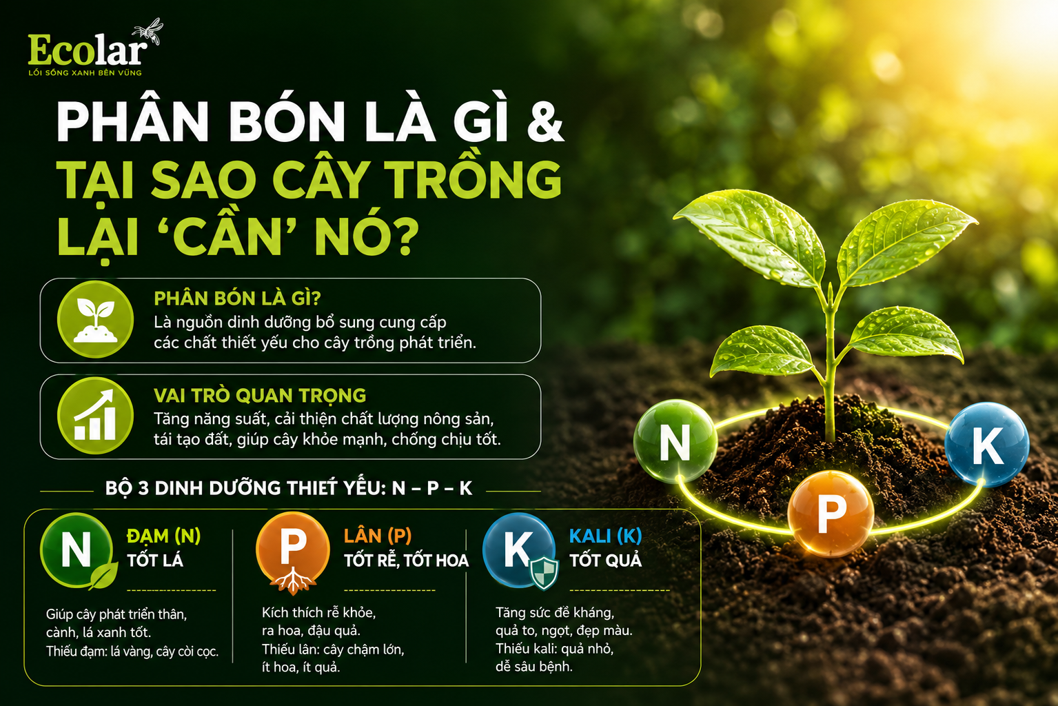 Phân Bón Là Gì & Tại Sao Cây Trồng Lại 'Cần' Nó?