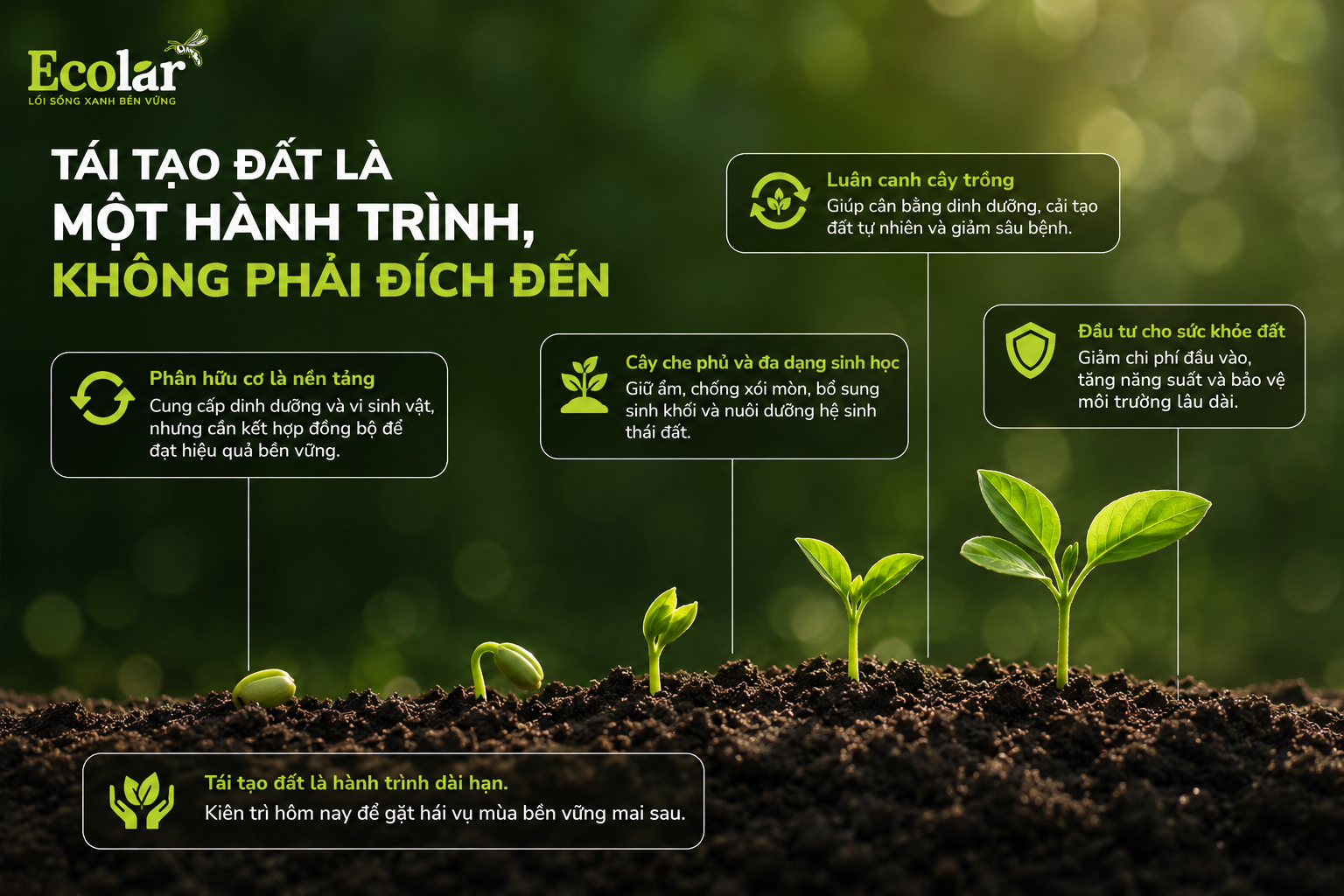 Tầm Nhìn Dài Hạn: Tái Tạo Đất Là Một Hành Trình, Không Phải Đích Đến