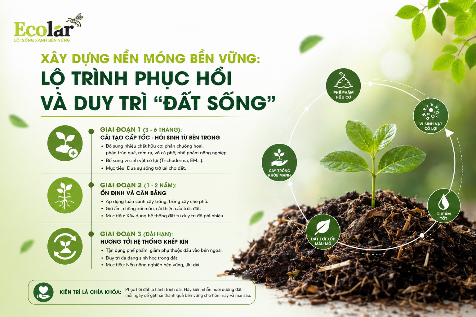 Xây dựng nền móng bền vững: Lộ trình phục hồi và duy trì 'đất sống'