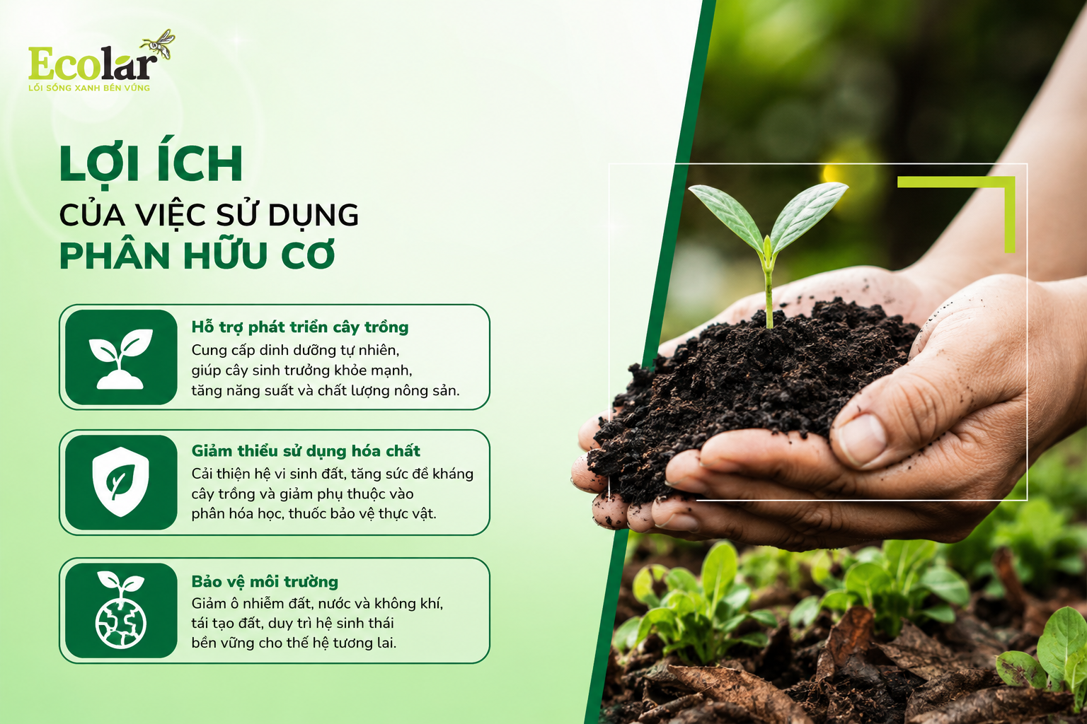 Lợi Ích Của Việc Sử Dụng Phân Hữu Cơ
