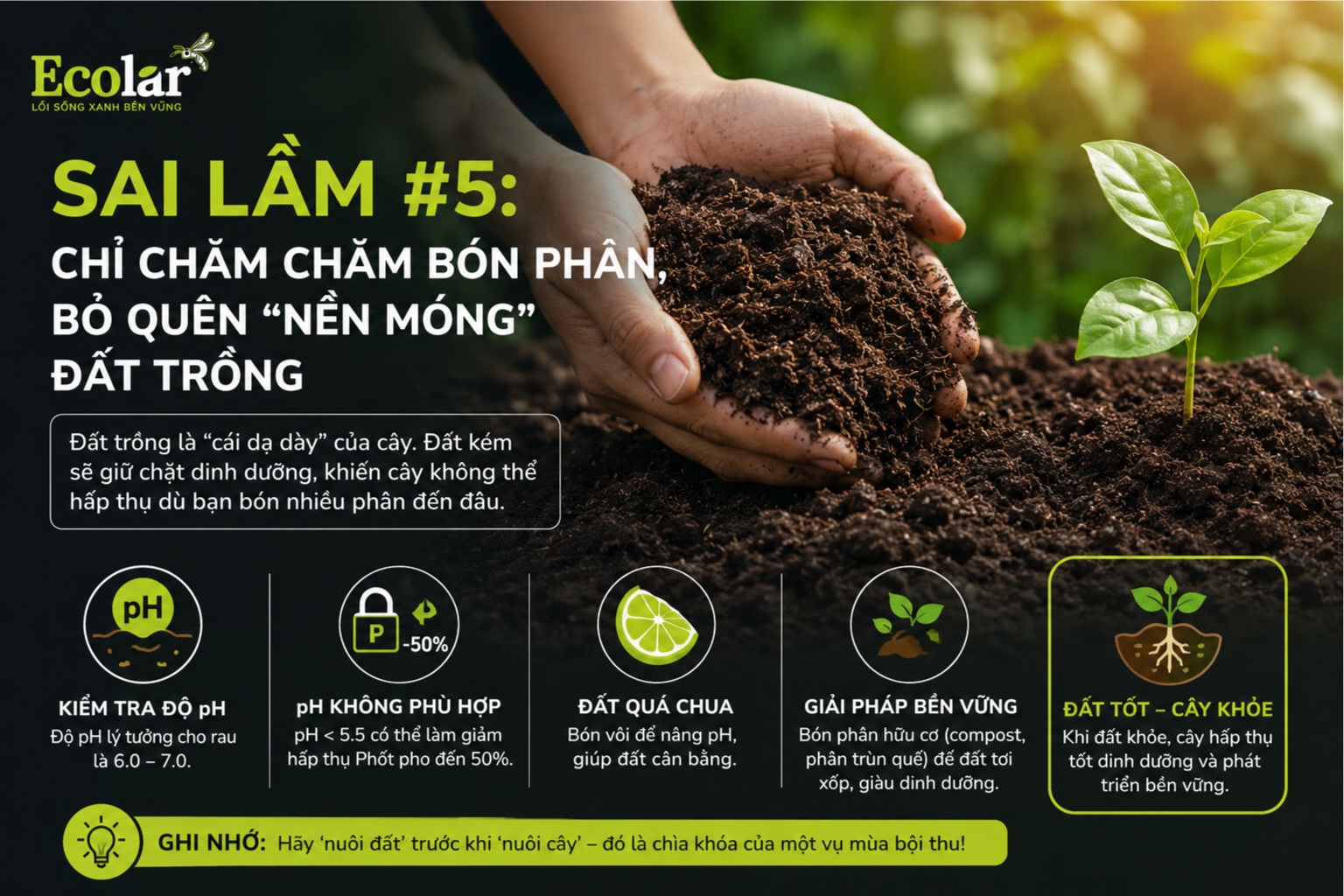 Sai Lầm #5: Chỉ Chăm Chăm Bón Phân, Bỏ Quên 