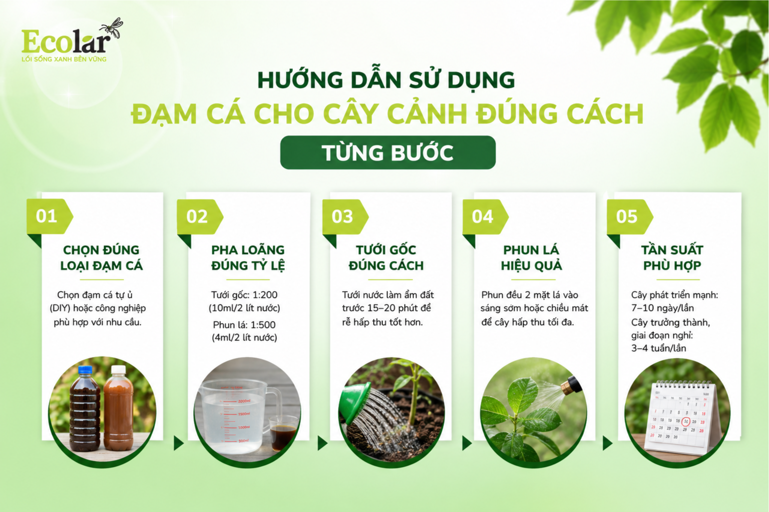 Hướng Dẫn Sử Dụng Đạm Cá Cho Cây Cảnh Đúng Cách (Từng Bước)