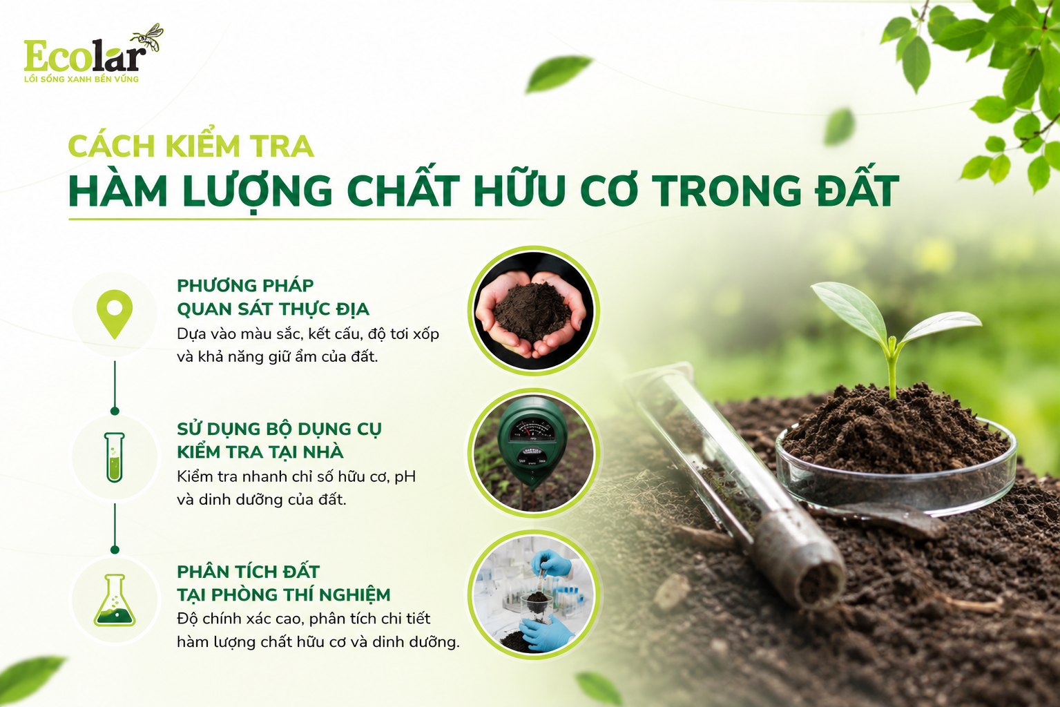 Cách Kiểm Tra Hàm Lượng Chất Hữu Cơ Trong Đất