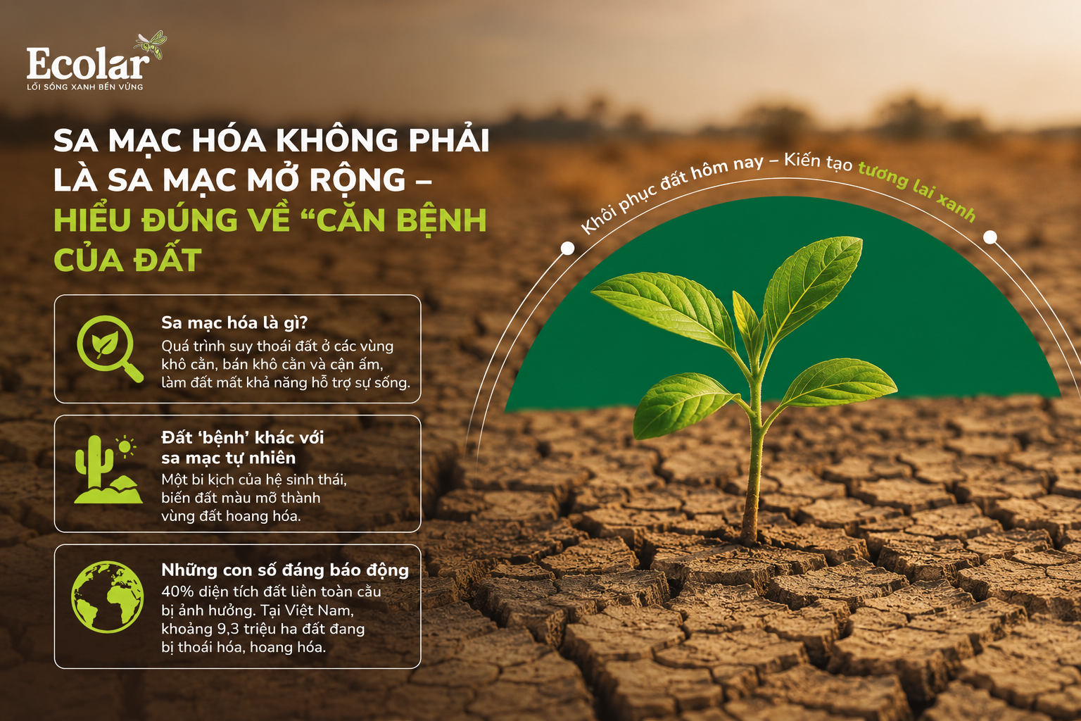 Phần 1: Sa Mạc Hóa Không Phải Là Sa Mạc Mở Rộng - Hiểu Đúng Về 'Căn Bệnh' Của Đất