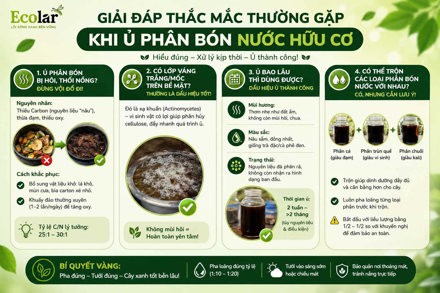 Bí Quyết Sử Dụng Phân Bón Nước Hiệu Quả: Tưới Sao Cho Đúng?