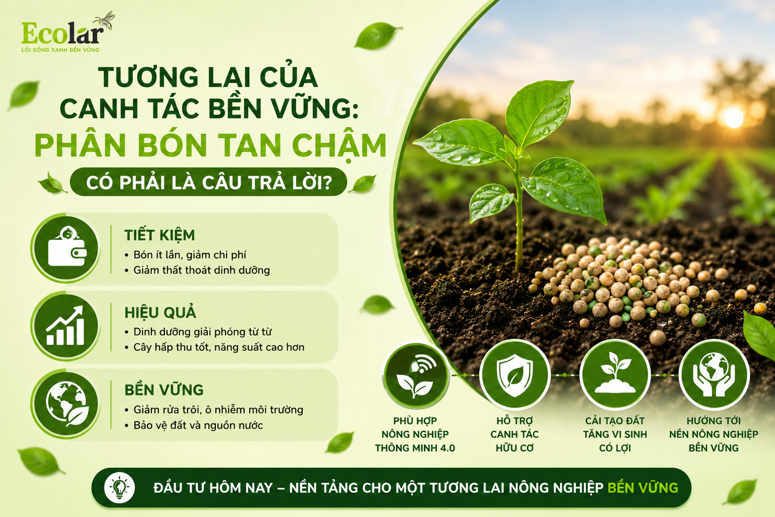 Tương Lai Của Canh Tác Bền Vững: Phân Bón Tan Chậm Có Phải Là Câu Trả Lời?