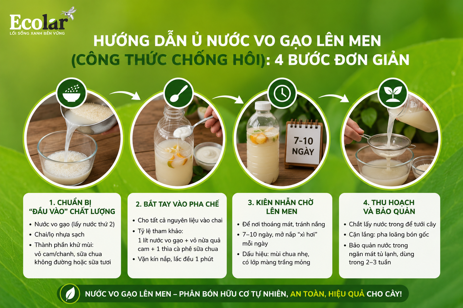 Hướng Dẫn Ủ Nước Vo Gạo Lên Men (Công Thức Chống Hôi): 4 Bước Đơn Giản
