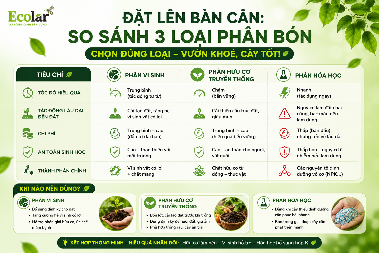 Đặt Lên Bàn Cân: Phân Vi Sinh vs. Phân Hữu Cơ Truyền Thống vs. Phân Hóa Học