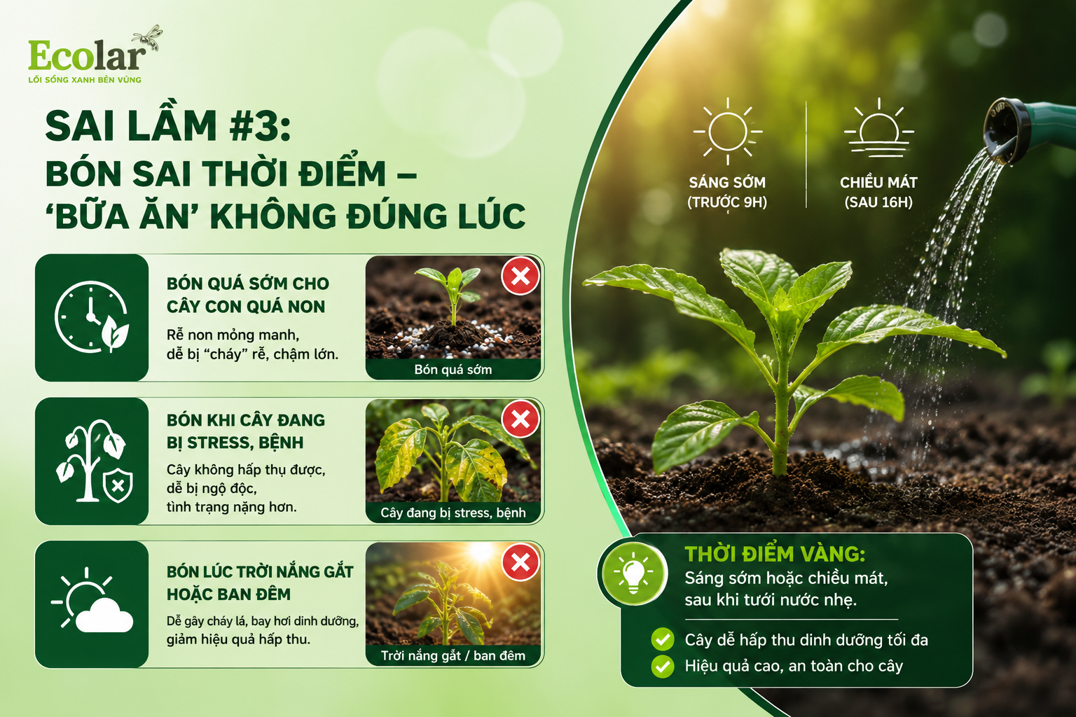 Sai Lầm #3: Bón Sai Thời Điểm - 'Bữa Ăn' Không Đúng Lúc