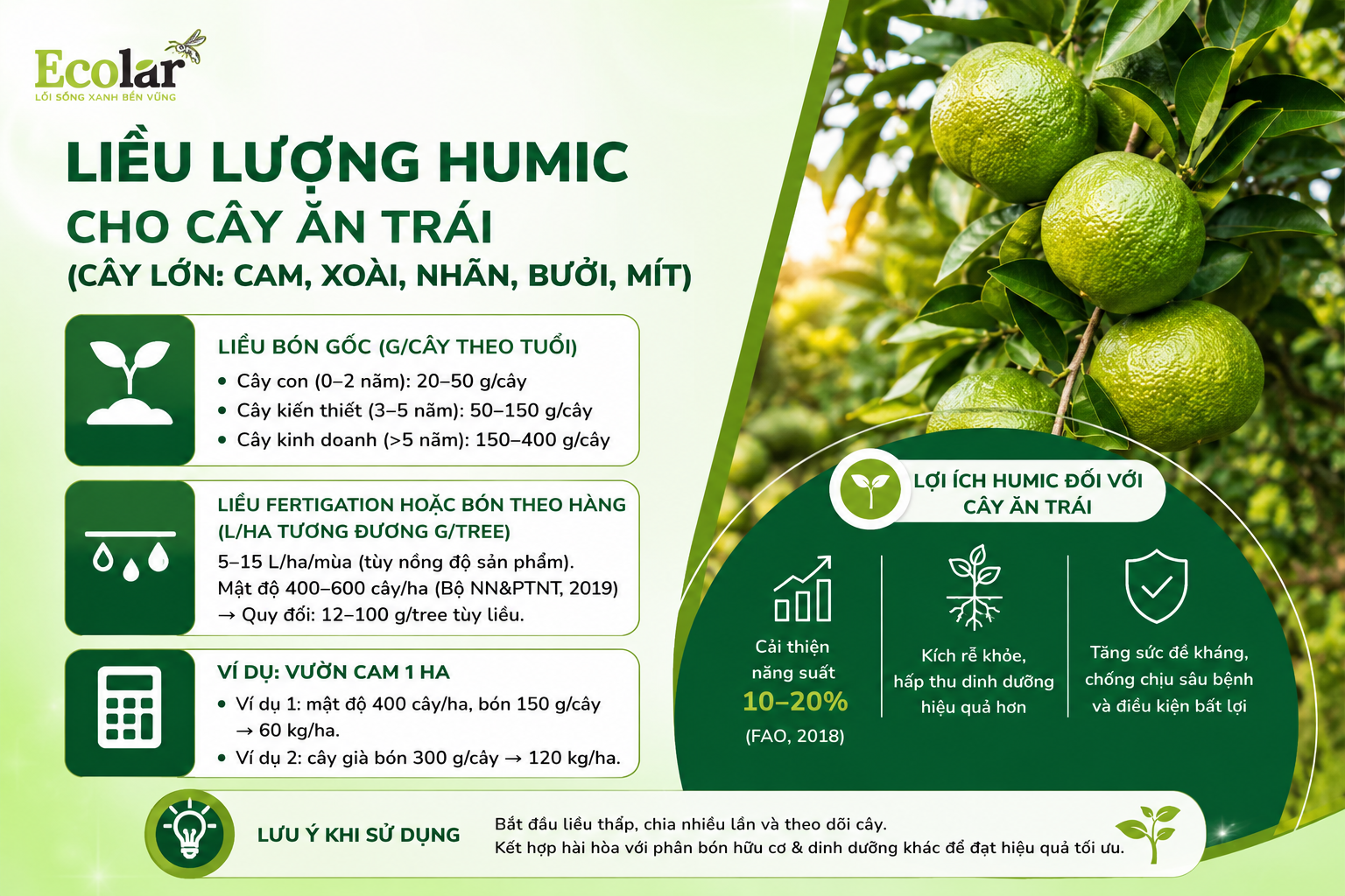 Liều lượng humic cho cây ăn trái (cây lớn: cam, xoài, nhãn, bưởi, mít)