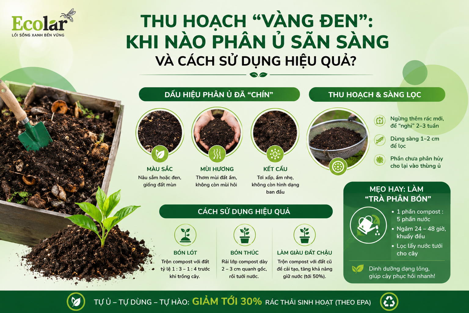 Thu Hoạch 'Vàng Đen': Khi Nào Phân Ủ Sẵn Sàng và Cách Sử Dụng Hiệu Quả?