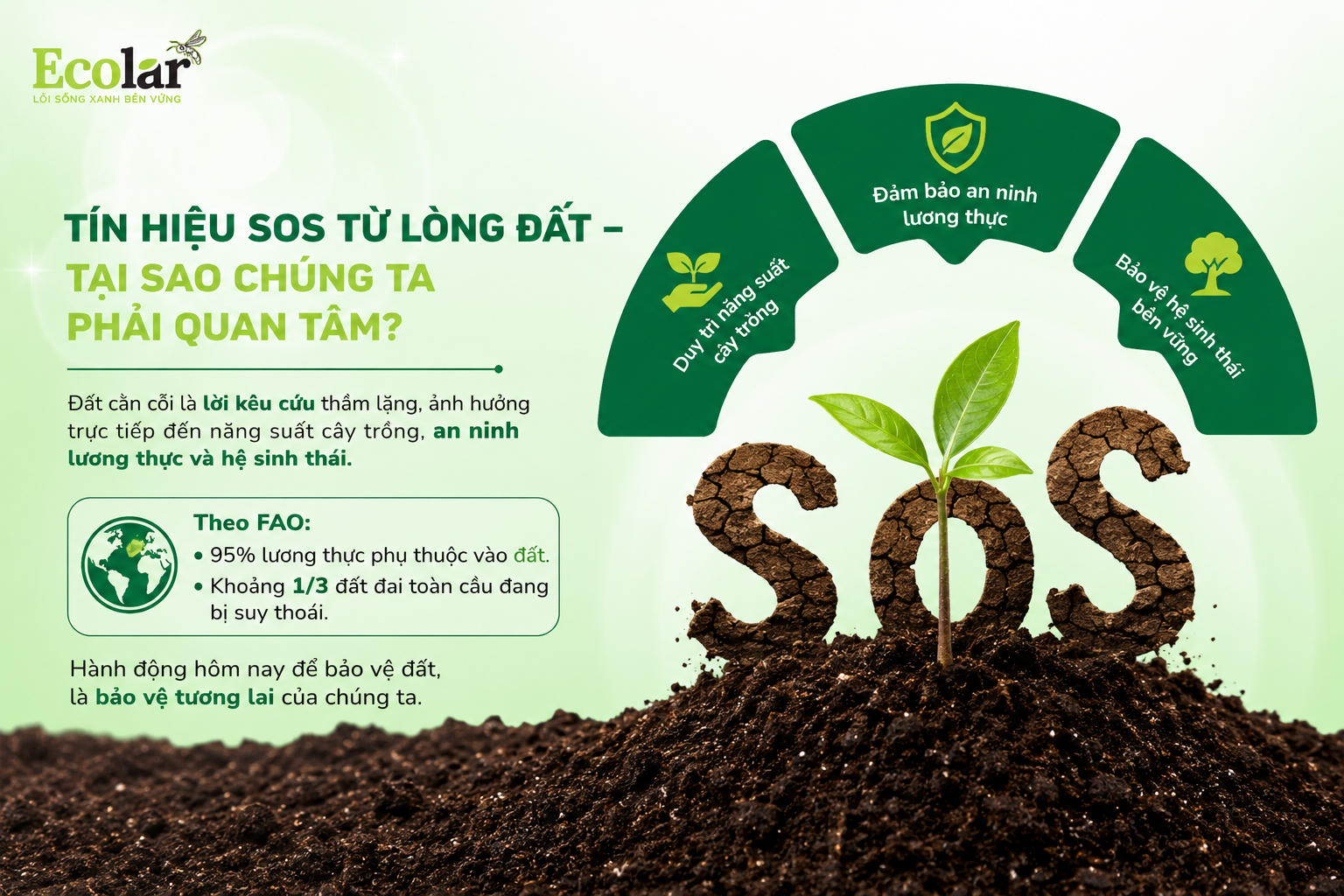 Mở đầu: Tín Hiệu SOS Từ Lòng Đất - Tại Sao Chúng Ta Phải Quan Tâm?