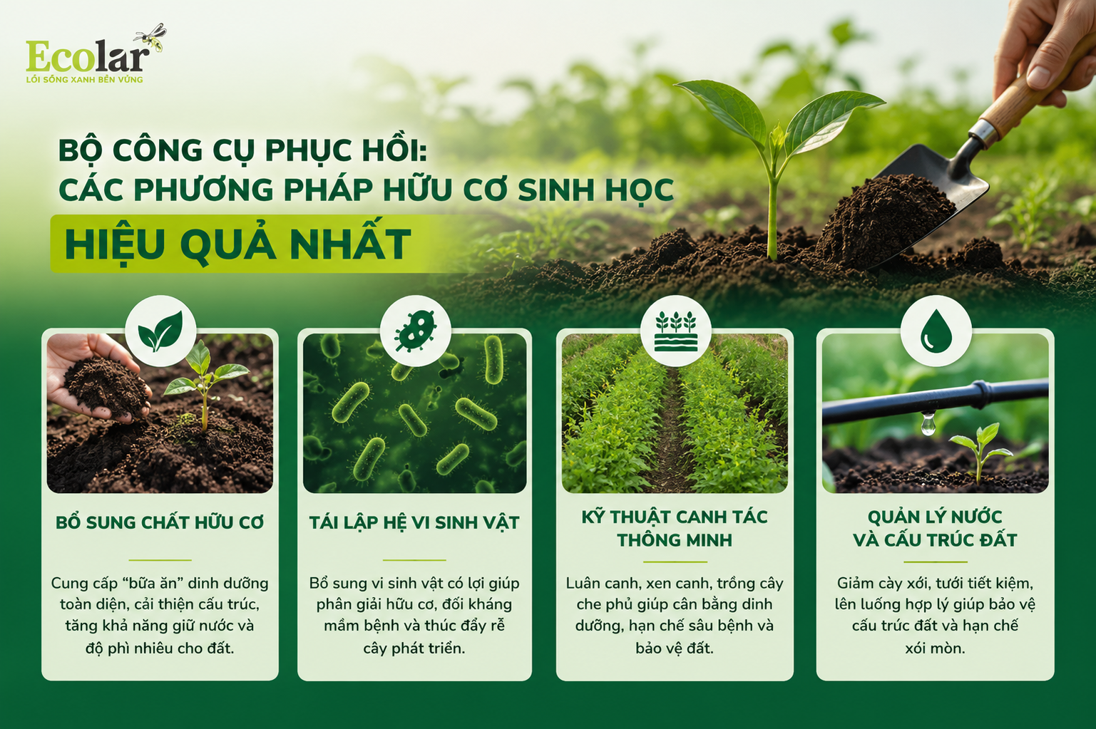 Bộ Công Cụ Phục Hồi: Các Phương Pháp Hữu Cơ Sinh Học Hiệu Quả Nhất
