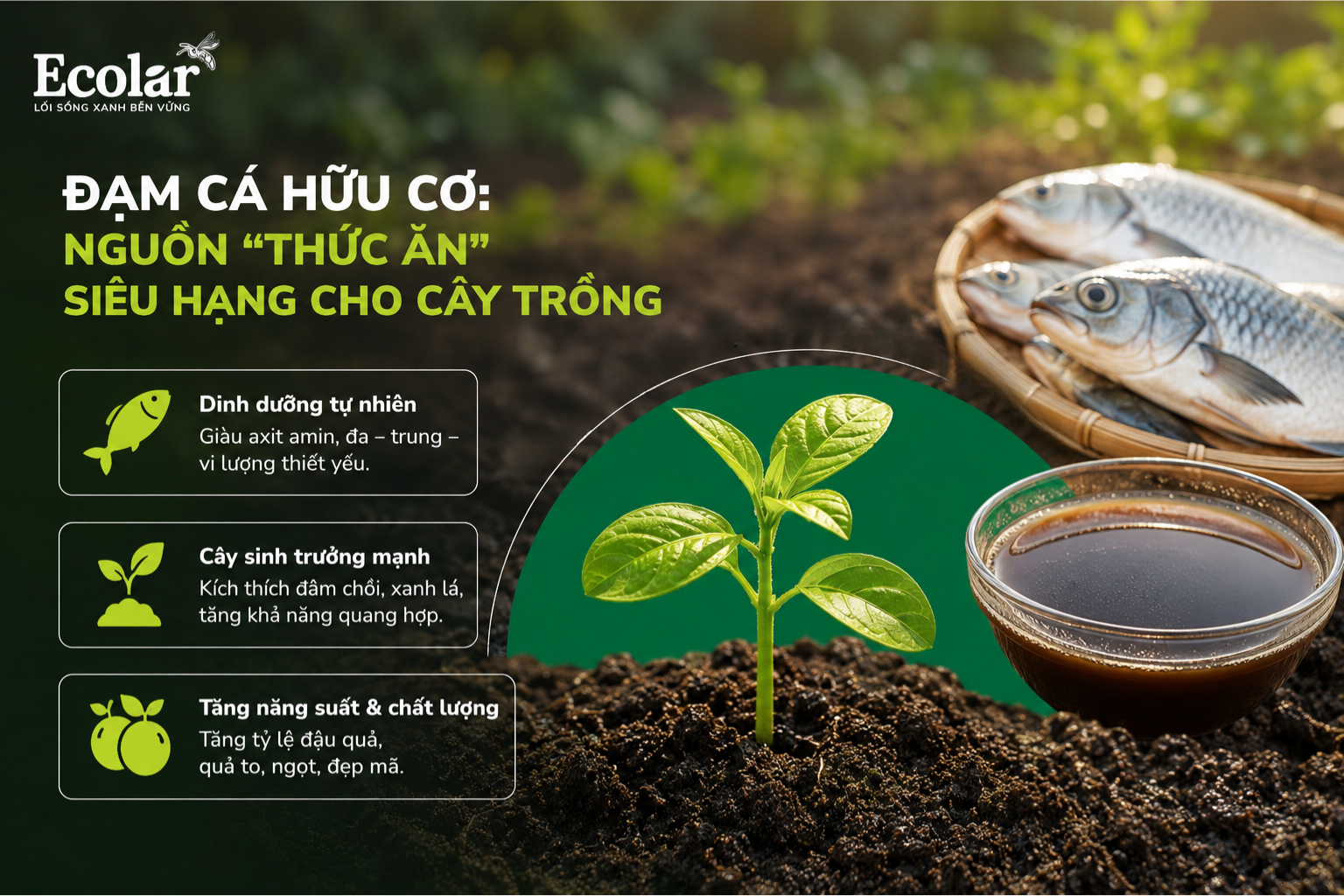 Đạm Cá Hữu Cơ: Nguồn 'Thức Ăn' Siêu Hạng Cho Cây Trồng
