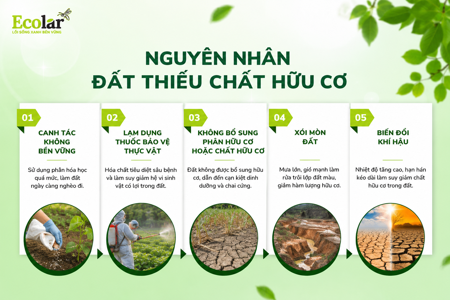 Nguyên Nhân Đất Thiếu Chất Hữu Cơ