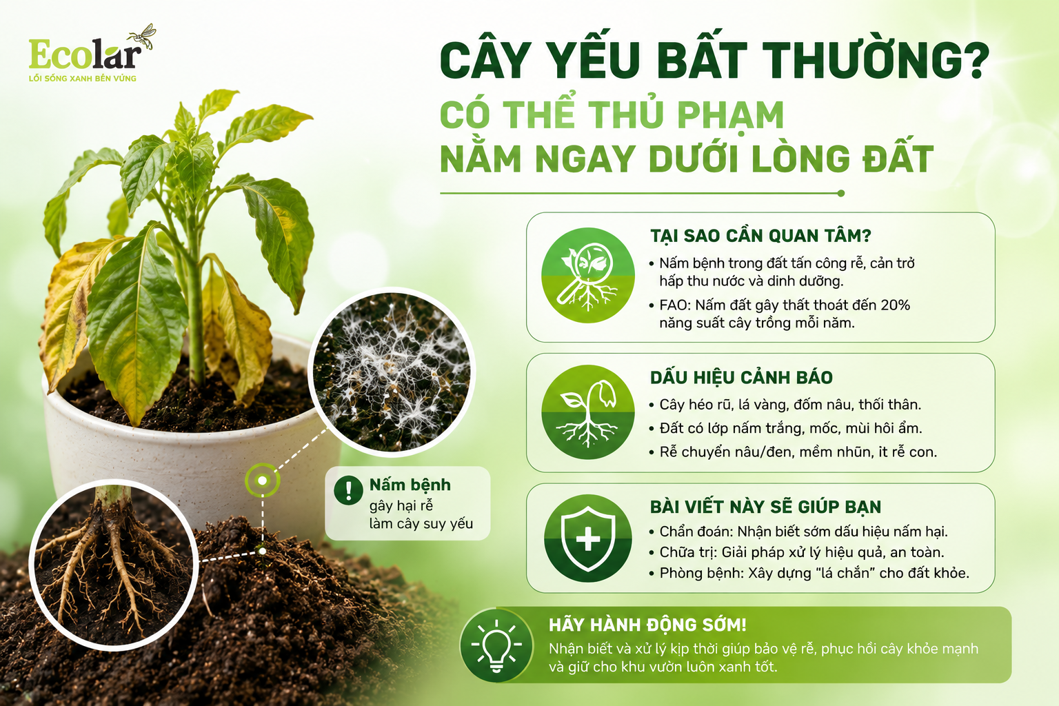 Cây Yếu Bất Thường? Có Thể Thủ Phạm Nằm Ngay Dưới Lòng Đất