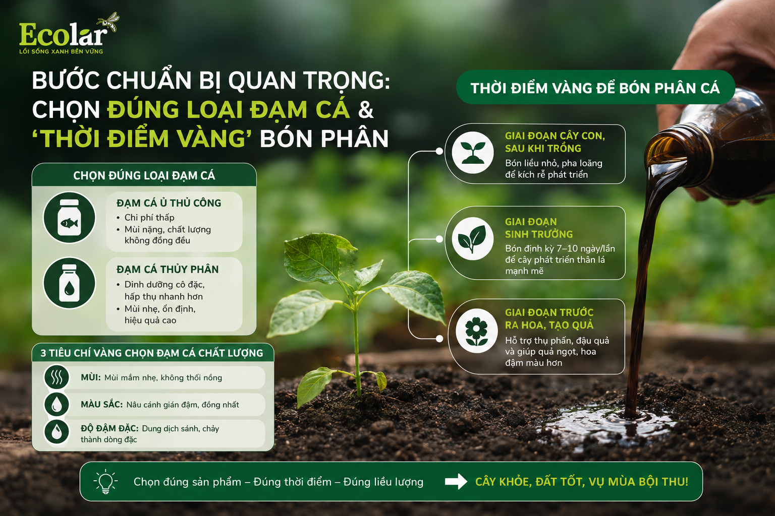 Bước Chuẩn Bị Quan Trọng: Chọn Đúng Loại Đạm Cá & 'Thời Điểm Vàng' Bón Phân