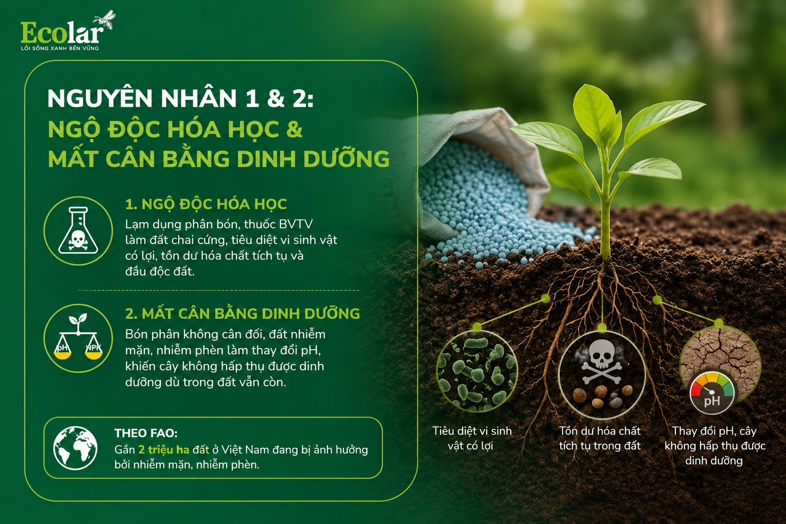 Nguyên Nhân 1 & 2: Ngộ Độc Hóa Học & Mất Cân Bằng Dinh Dưỡng